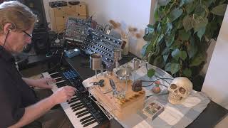 Intervention of the Void  DIY Noisebox Novation Peak Bioscape [upl. by Kerby]