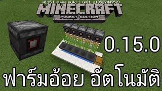 สอนสร้าง ฟาร์มอ้อยอัตโนมัติ โดย ใช้ Observer Minecraft PE 0150 [upl. by Mcwherter]