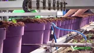 Visser Horti Systems  Pic O Mat Greenline for Pot Plants [upl. by Thormora]