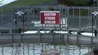 Goring and Streatley Floods 9th January 2014 [upl. by Airalav]