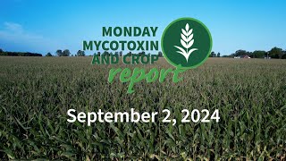 Monday Mycotoxin and Crop Report for September 2 2024 [upl. by Nosac391]