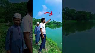 মিনি কক্সবাজারে অতিথি পাখির সমারোহ অতিথি reels shorts birds coxsbazar funny facts reels fyp [upl. by Tiebold]