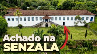 Esse ANTES e DEPOIS vai te impressionar  FAZENDA CONFIANÇA [upl. by Ruthy337]