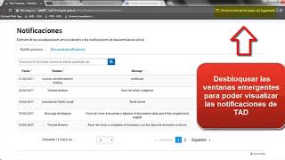 Trámites a Distancia  Notificaciones [upl. by Ennaylil]