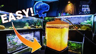 Hatching Baby Brine Shrimp is EASIER Than You Think [upl. by Verina389]