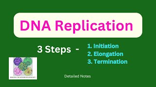 DNA ReplicationInitiationElongationTerminationProkaryotesEukaryotesSemiconservativeTelomerase [upl. by Aip]