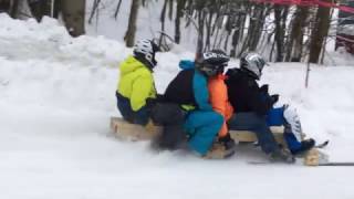 Homebuilt Bobsleigh Fail [upl. by Sidalg]