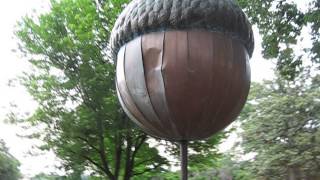 Approaching Worlds Largest Acorn  Raleigh NC [upl. by Airdnaed422]