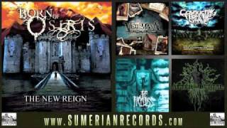 BORN OF OSIRIS  The New Reign [upl. by Jodoin]