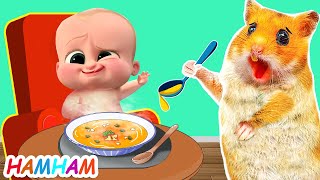 Good Hamster Feeding Naughty Baby Boss ONE Day Hamster Take Care Baby Hamster Cartoon [upl. by Nappie]