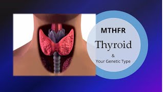 The Relationship Between Thyroid and MTHFR Explained [upl. by Hannavahs]