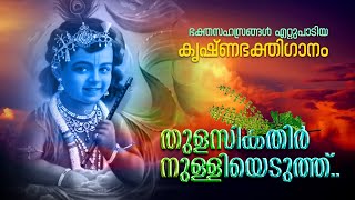 Thulasikkathir NulliyeduththKrishna Songwith Lyrics [upl. by Odnanref]