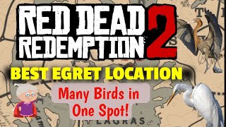 BEST EGRET LOCATION MANY BIRDS Reddish Egret Snowy Egret amp Little Egret  RDR2 [upl. by Llewkcor]