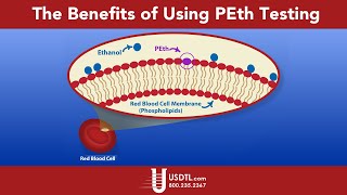 The Benefits of Using PEth Testing [upl. by Rellia]