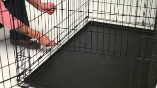 LifeStages ACE Single Door Dog Crate [upl. by Enoyrt]