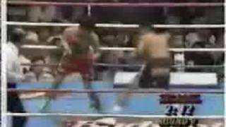 boxeo oscar de la hoya vs javier castillejo [upl. by Nollahs]