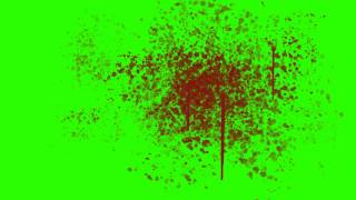 Blood Splatter on the Wall  Green Screen Animation [upl. by Asilak]