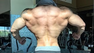 TOP 10 Insane V TAPER Physiques Part 1 [upl. by Ailel]