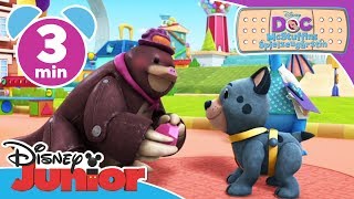 Der perfekte Blindenhund für Hillary  Doc McStuffins  Disney Junior Kurzgeschichten [upl. by Candy]