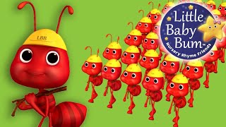 Peek a Boo  🐜 The Ants Go Marching  Best Kids Songs and Nursery Rhymes  LooLoo Kids [upl. by Aimek]