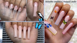 COLORFUL OUTLINED POLYGEL NAILS BUTTERFLY NAIL DESIGN  Polygel Nail Tutorial [upl. by Elfrieda754]