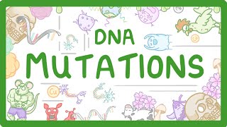 GCSE Biology  What are DNA Mutations 67 [upl. by Ileana]