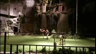 Bukit Gambang Safari Park Tarzan Adventure Part 2 [upl. by Tarfe654]