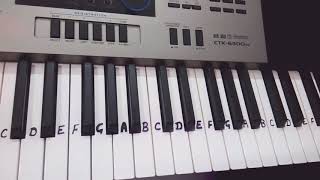 Hum tere sahar mein aye hai musafir ki tarah HarmoniumKeyboard TutorialPianoSlow in end [upl. by Saidel]