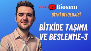 Bitki Biyolojisi  Bitkide Taşıma3 Konu Anlatımı 12 Sınıf Biyoloji [upl. by Nedac]