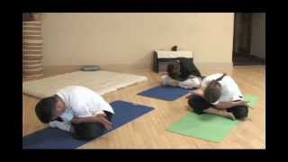 Makka Ho  Meridian Yoga  Meridian Stretching Exercises  HeartMindHealingArtscom [upl. by Nolram]