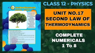 XII Physics Solved Numericals  Ch 17 Second Law of Thermodynamics [upl. by Nelsen]