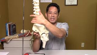 Hip Pain  How Pelvic Imbalances Can Lead to Hip Degeneration [upl. by Ahsrat]