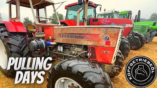 Pulling Days 2022 Edling  Vlog [upl. by Harriot]