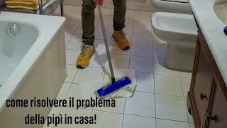 Come risolvere il problema della pipì in casa [upl. by Nosnirb24]