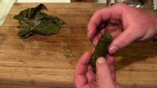 Surfin Sapolopolouss Homemade dolmades aka Stuffed Grape Leaves [upl. by Tadio]