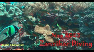 202311 Zanzibar Diving [upl. by Walters569]