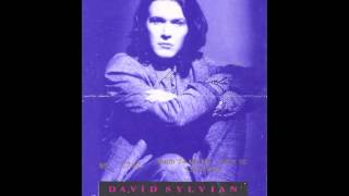 David Sylvian  LIVE IN THEATRE  1988  FULL CONCERT [upl. by Morrill]