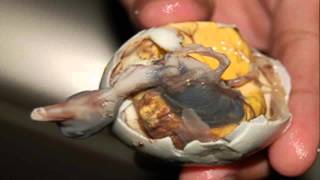 A COMER EMBRIONES DESARROLLADOS DE PATO Balut [upl. by Ariaz]