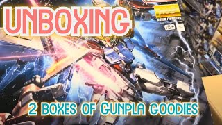 Small 2 box Gunpla restock Good stuff [upl. by Jemine]