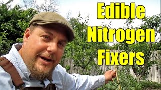 5 Cold Hardy Edible Nitrogen Fixer Plants Worth Growing [upl. by Ilaw]