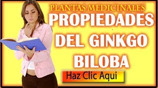 Las propiedades del Ginkgo Biloba Conoce los beneficios del Ginkgo Biloba [upl. by Analaf]