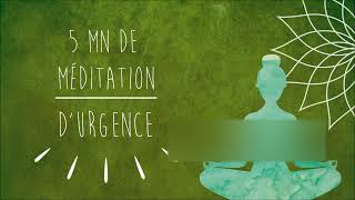 Méditation durgence  Crise dAngoisse dAnxiété Attaque de Panique [upl. by Liahkim678]