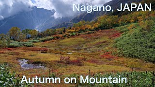 【JAPAN TRAVEL：NAGANO】Autumn leaves on the top of the mountain Hiking Trekking Hakuba [upl. by Nicholas972]