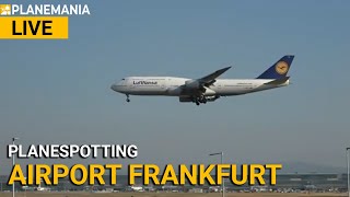 Airport Frankfurt Samstag LIVE Planespotting Landungen auf der 25L mit ExpertenChat [upl. by Wake569]