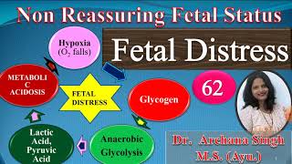 62 Fetal Distress Non Reassuring Fetal Status । Dr Archana Singh । [upl. by Ednihek96]