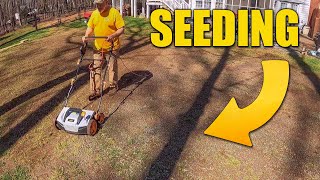 Planting Grass seed  Reseeding Lawn  Overseeding [upl. by Einra636]