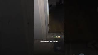 Alligator in kitchen From Hurricane Milton WILD [upl. by Searby994]