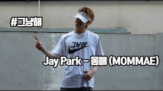 quotZquot Cover 박재범 Jay Park  몸매 MOMMAE FeatUgly Duck Philtre Mix [upl. by Sammy124]