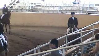 Diagramm  Arabian Horse Show Hack [upl. by Enehs]