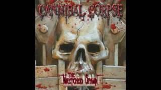 Cannibal Corpse  Psychotic Precision [upl. by Lucienne]